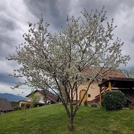 Peaceful, Cosy Near Kolpa River *